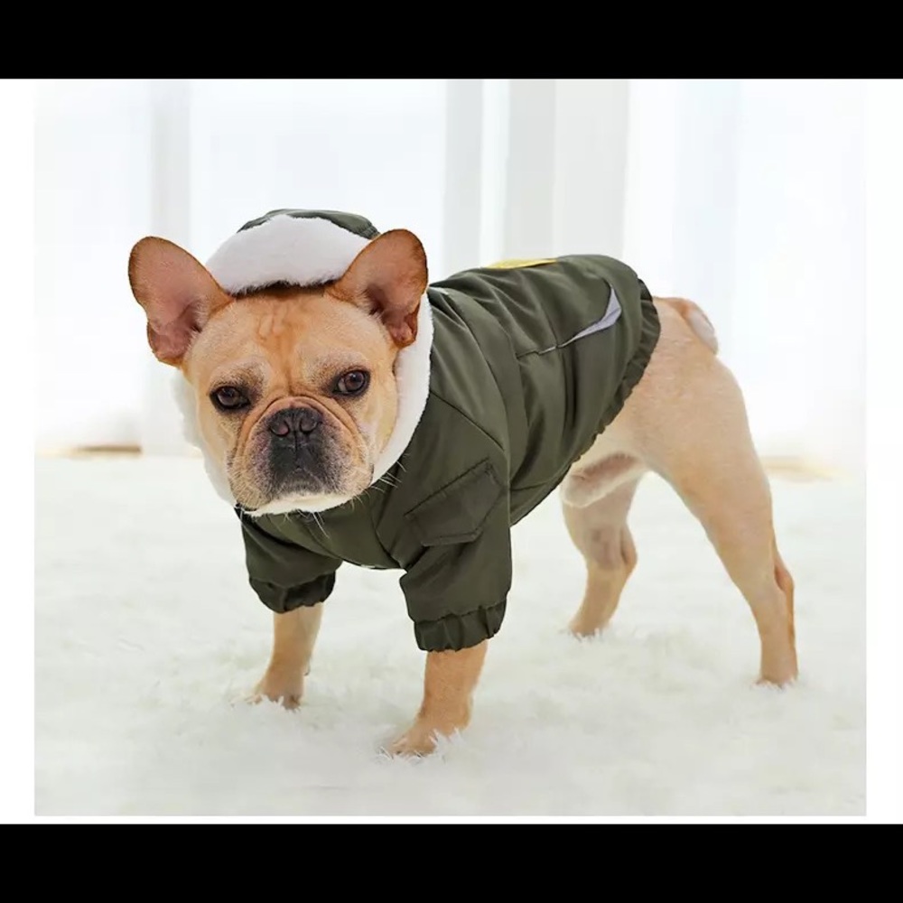Dog Winter Hoodie Jacket - Picture 7 of 14